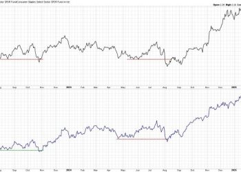 When in Doubt, Follow the Leadership