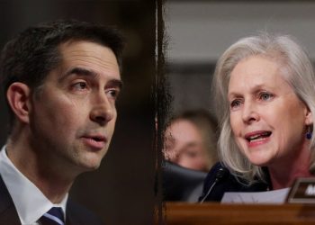 US military would be unleashed on enemy drones on the homeland if bipartisan bill passes