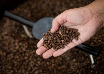 Trump’s tariffs on Brazil could make your coffee even more expensive