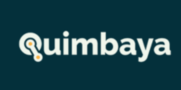 Quimbaya Identifies Mineralized High-Sulfidation Porphyry System at Surface at Tahami
